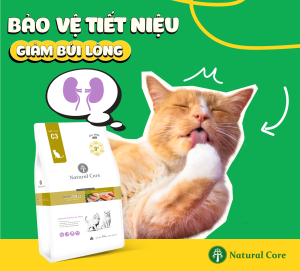 Natural Core giải pháp cho tiết niệu và búi lông