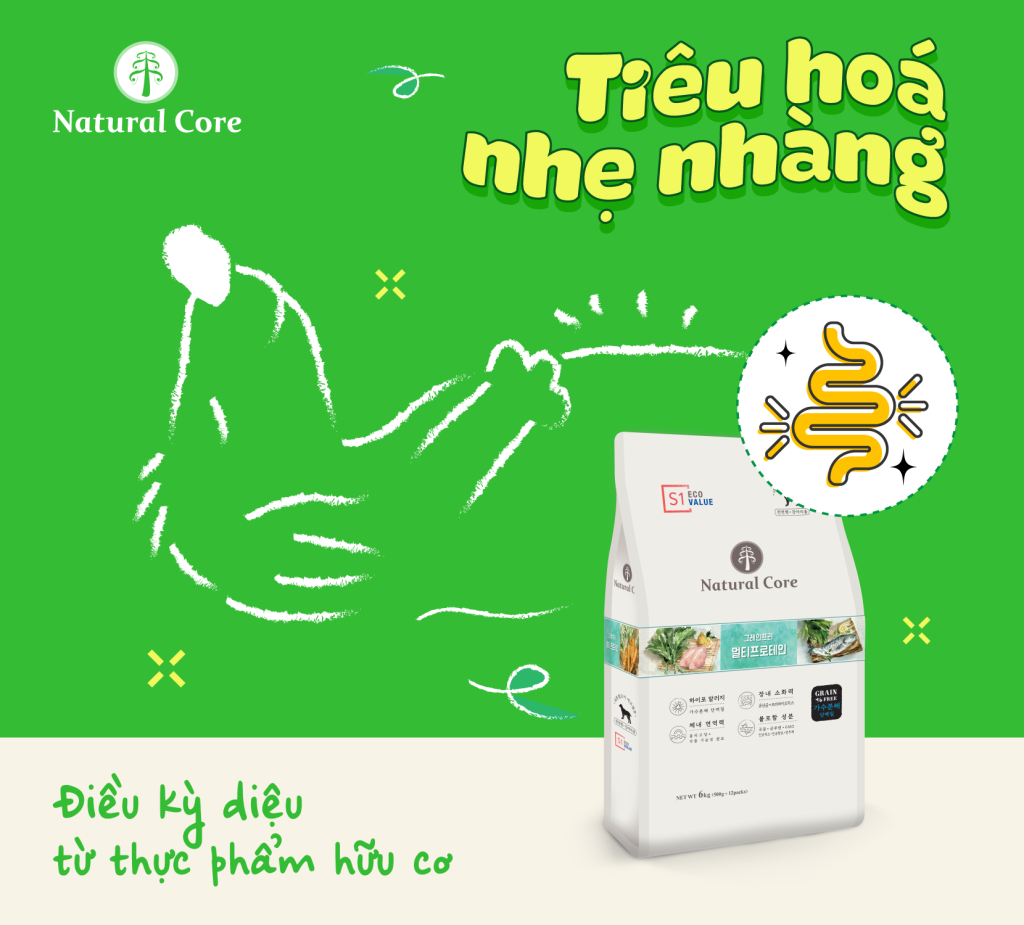 Natural Core C3 - Giải pháp kép khoa học cho hệ tiêu hóa và tiết niệu