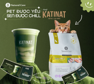 Pet được yêu - Sen được chill cùng Katinat